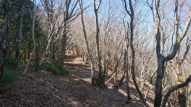 大峰　天川村川合〜栃尾辻〜明星ケ岳ﾋﾟｽﾄﾝ_b0148050_18043044.jpg