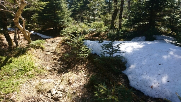 大峰　天川村川合〜栃尾辻〜明星ケ岳ﾋﾟｽﾄﾝ_b0148050_18163069.jpg