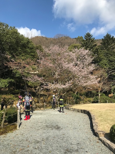 大糸桜が咲いていた事よりも・・・_c0214359_22115986.jpg