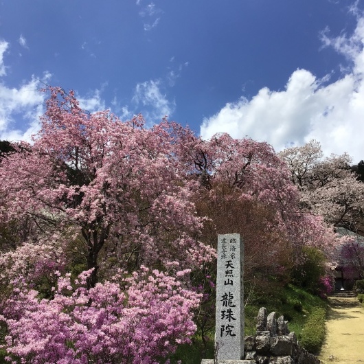 b0168262_21142846.jpeg