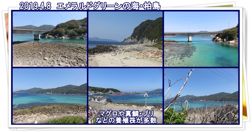 a0052666_0434540.jpg