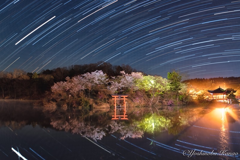 上野池の星景 写真ブログ 四季の詩