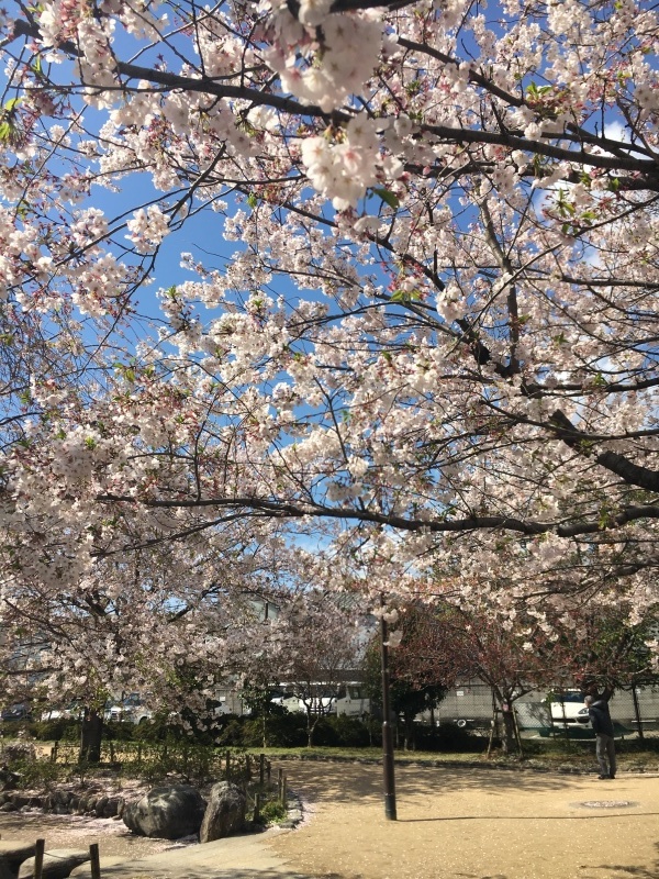 f0363168_19175347.jpeg