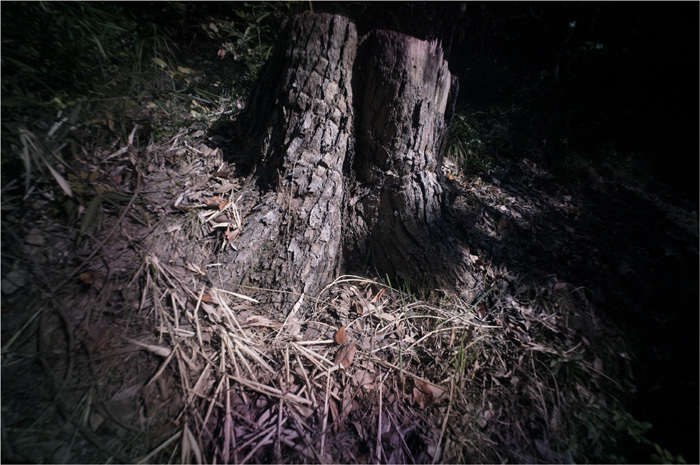 c0168172_18132333.jpg