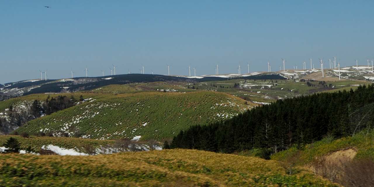 c0183777_602431.jpg