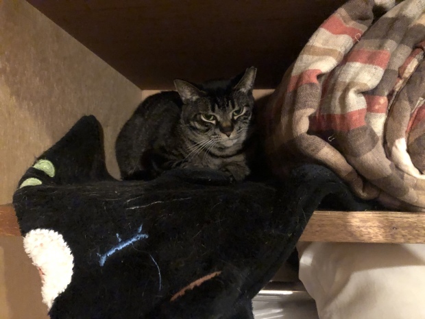 b0377882_11294953.jpeg