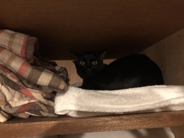 b0377882_11300327.jpeg