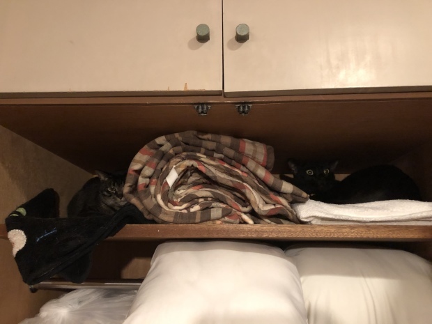 b0377882_11302173.jpeg