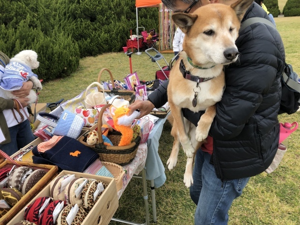 b0377882_11323666.jpeg