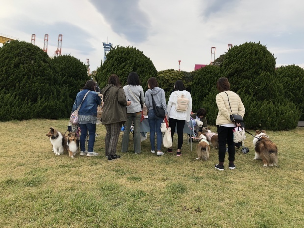 b0377882_11324907.jpeg