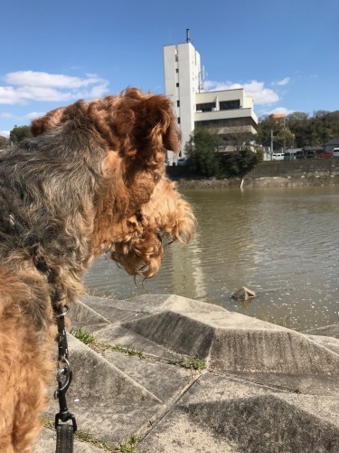 a0216583_23394139.jpeg