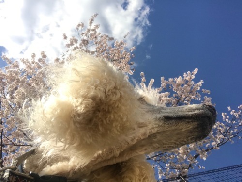 a0216583_23394938.jpeg