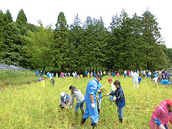 稲刈り体験(月光原小・西根小) _d0247484_10421771.jpg