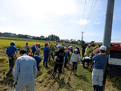 稲刈り体験(下目黒小・枝野小) _d0247484_16324368.jpg