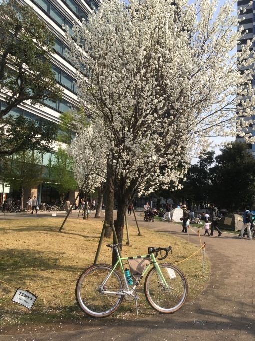 装着系。_e0149587_04004957.jpeg