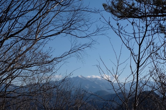 b0339488_20240515.jpg