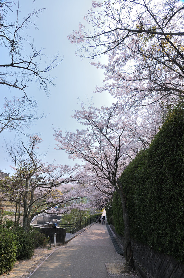 a0143491_22380235.jpg