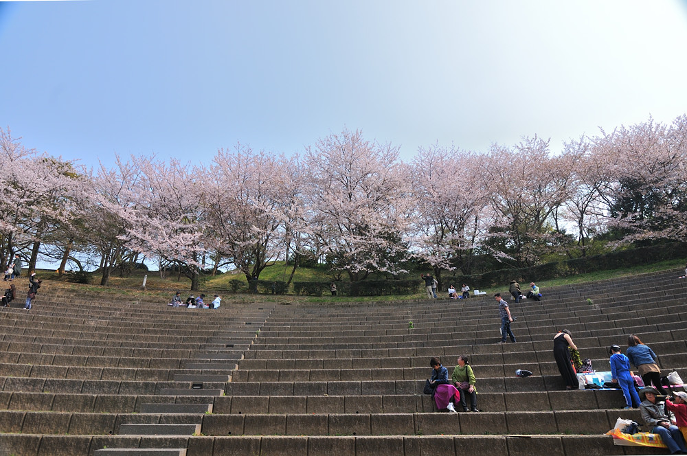 a0143491_22391428.jpg