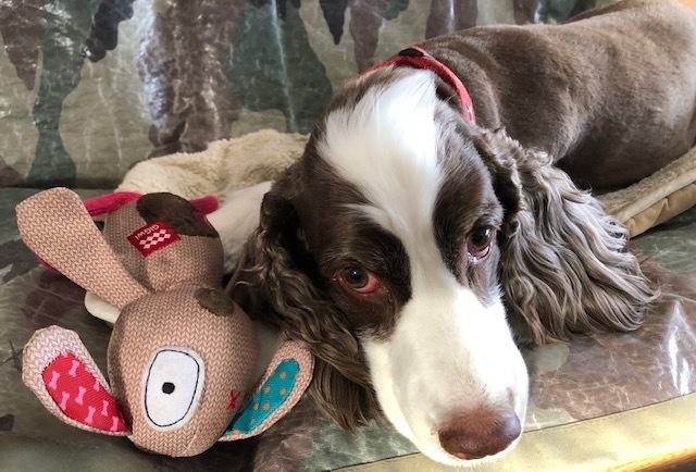 1983 M.BENZ 200T  ／　ヘッドガスケット・・・・・・・！_b0195093_14415876.jpg