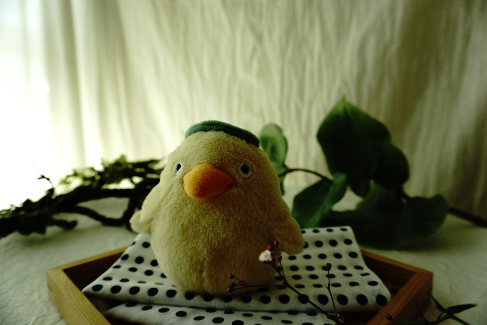 画像多し カメラのれんしゅう オオトリ様 手作り妖精専門店のひねもすのたり記