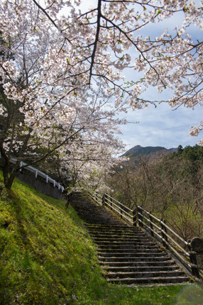 山道ウォーク（白猪の滝）_d0365597_19131218.jpg