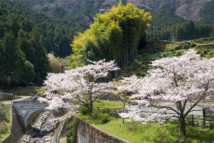 山道ウォーク（白猪の滝）_d0365597_19131298.jpg