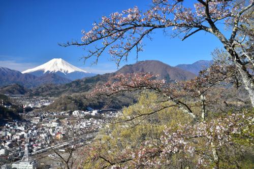 ２０１９年４月１６日(火) 山梨県岩殿山と新府桃源郷_f0375202_20240739.jpg