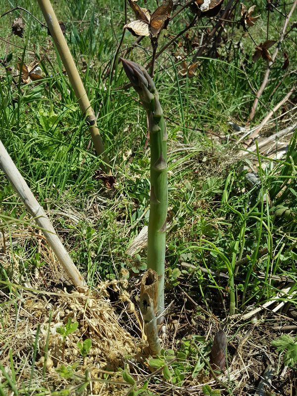 c0228804_17133710.jpg