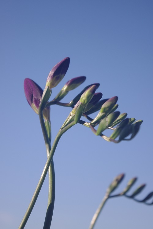 c0147909_07102196.jpg