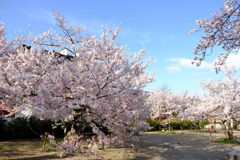 京都の旅 \'19 その1_e0000910_09165403.jpg