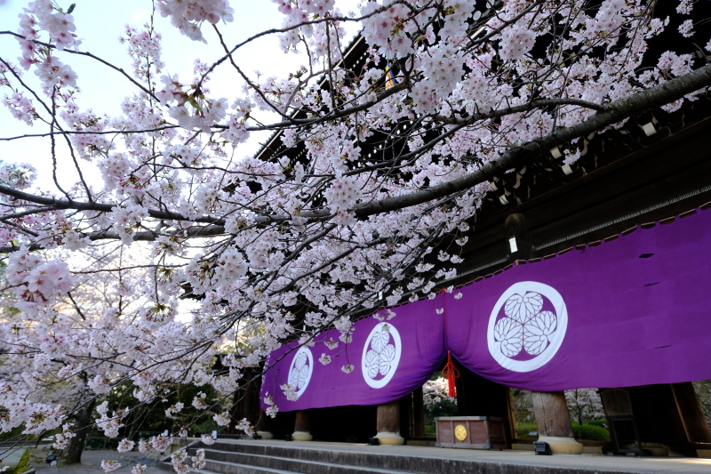京都の旅 \'19 その1_e0000910_09233182.jpg