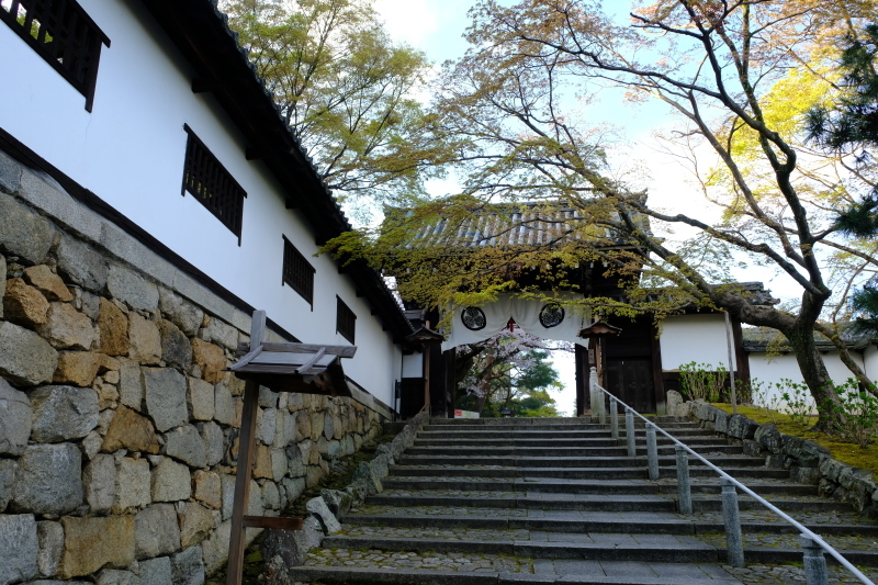 京都の旅 \'19 その1_e0000910_09254426.jpg