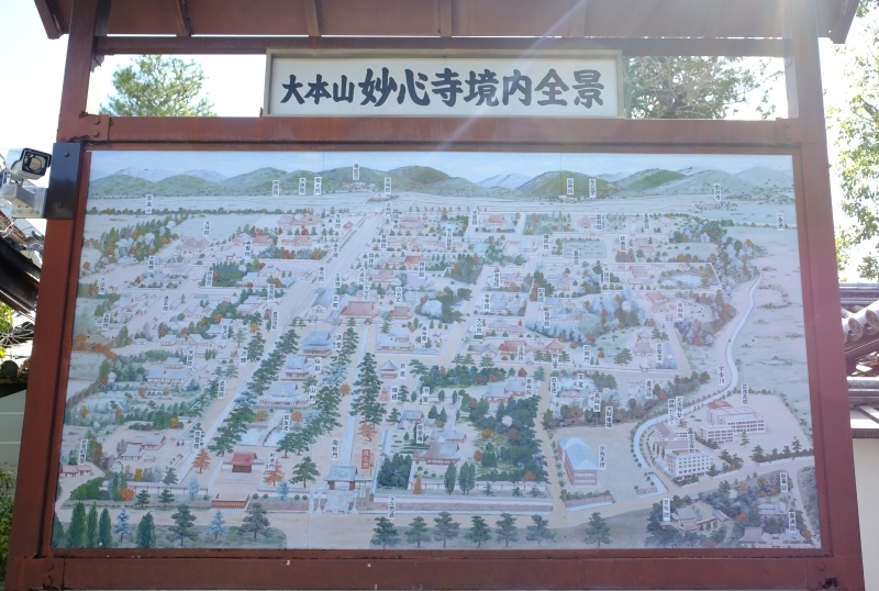 京都の旅 \'19 その1_e0000910_09321672.jpg