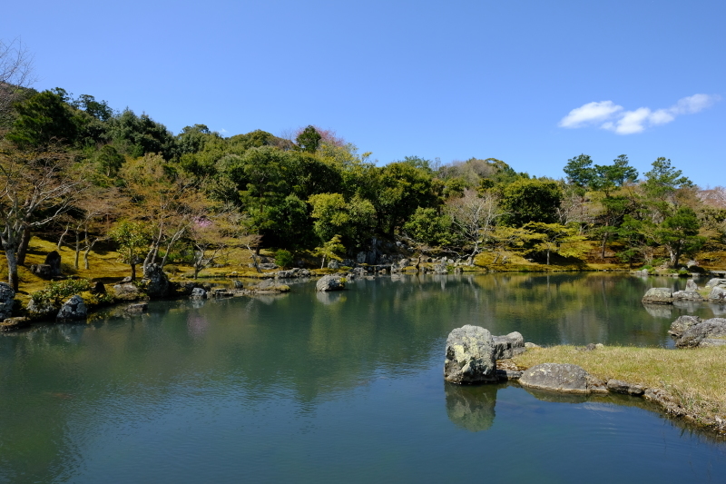 京都の旅 \'19 その1_e0000910_10195703.jpg