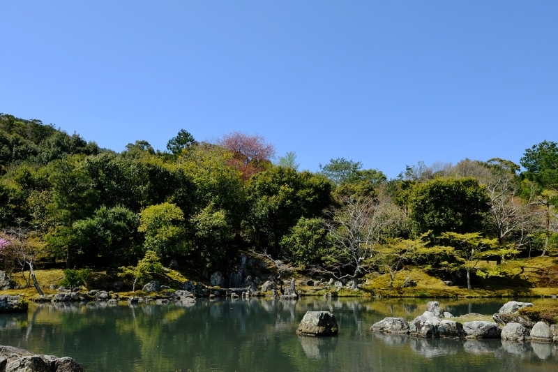 京都の旅 \'19 その1_e0000910_10200539.jpg