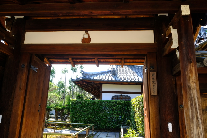 京都の旅 \'19 その1_e0000910_11083767.jpg