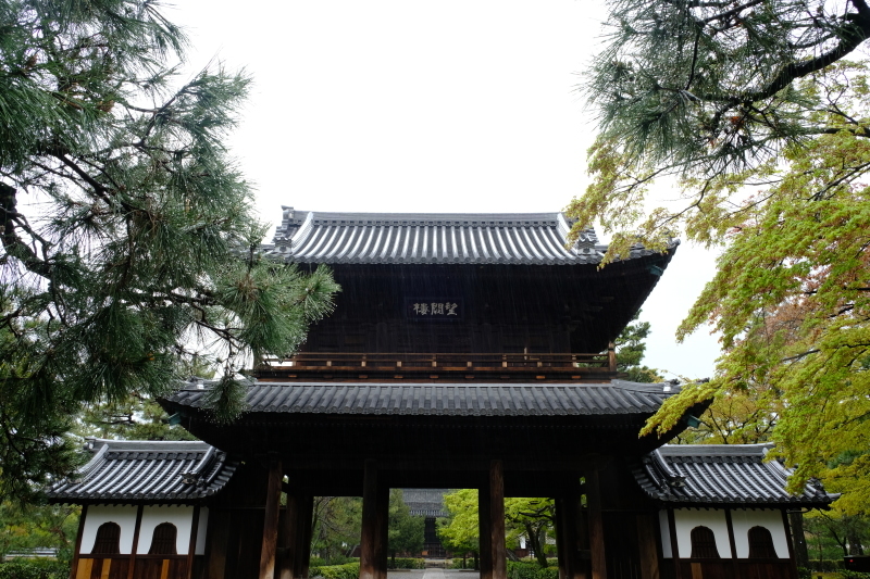 京都の旅 \'19 その2_e0000910_12211258.jpg