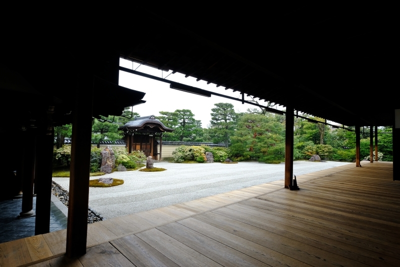 京都の旅 \'19 その2_e0000910_12291812.jpg