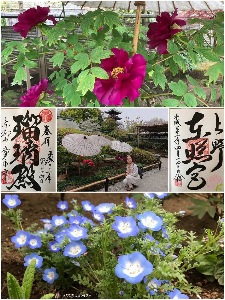 * 祈りを形に KUKAI *_d0317115_20044305.jpg