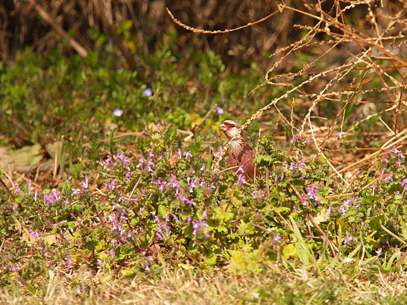 2/22  S公園にて_f0051915_18402267.jpg