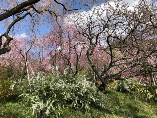 c0140516_14081618.jpeg