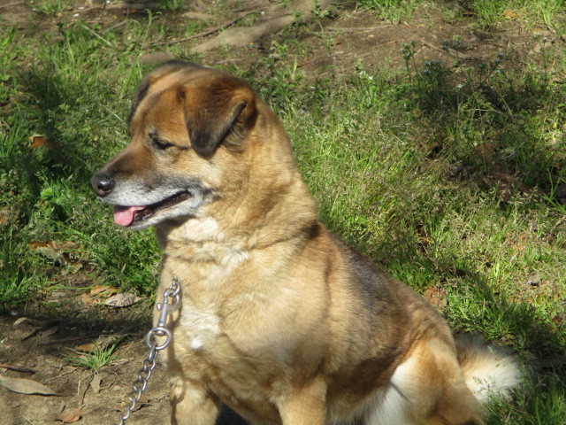 f0078320_23275214.jpg