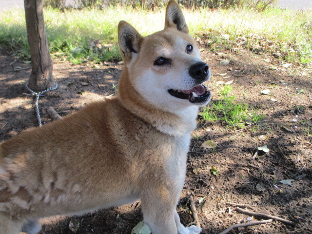 f0078320_23323075.jpg