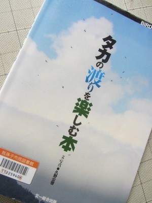 かっこいい鳥といえばーーー オアシスへの旅３