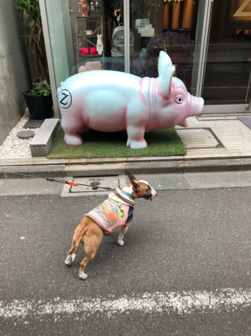 渋谷、原宿散歩した〜_b0310424_11490433.jpg