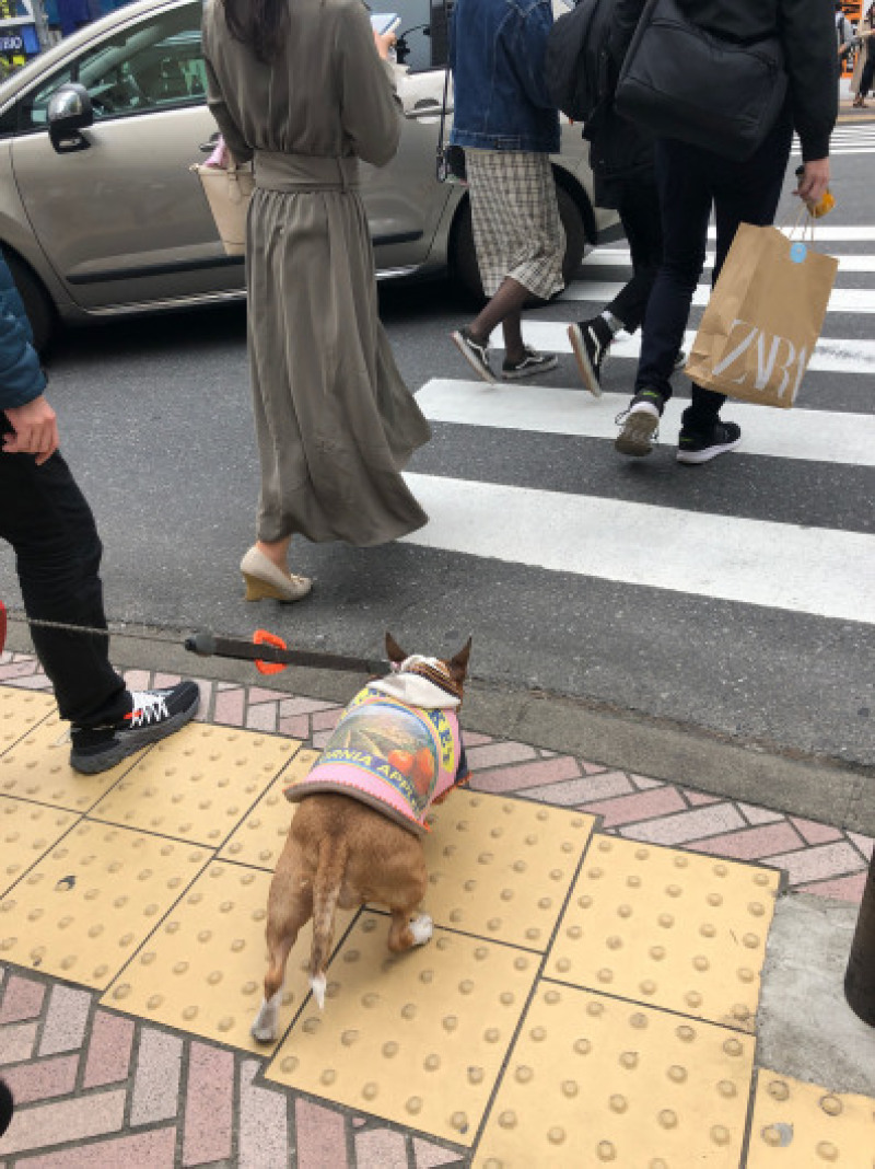 渋谷、原宿散歩した〜_b0310424_11491739.jpg