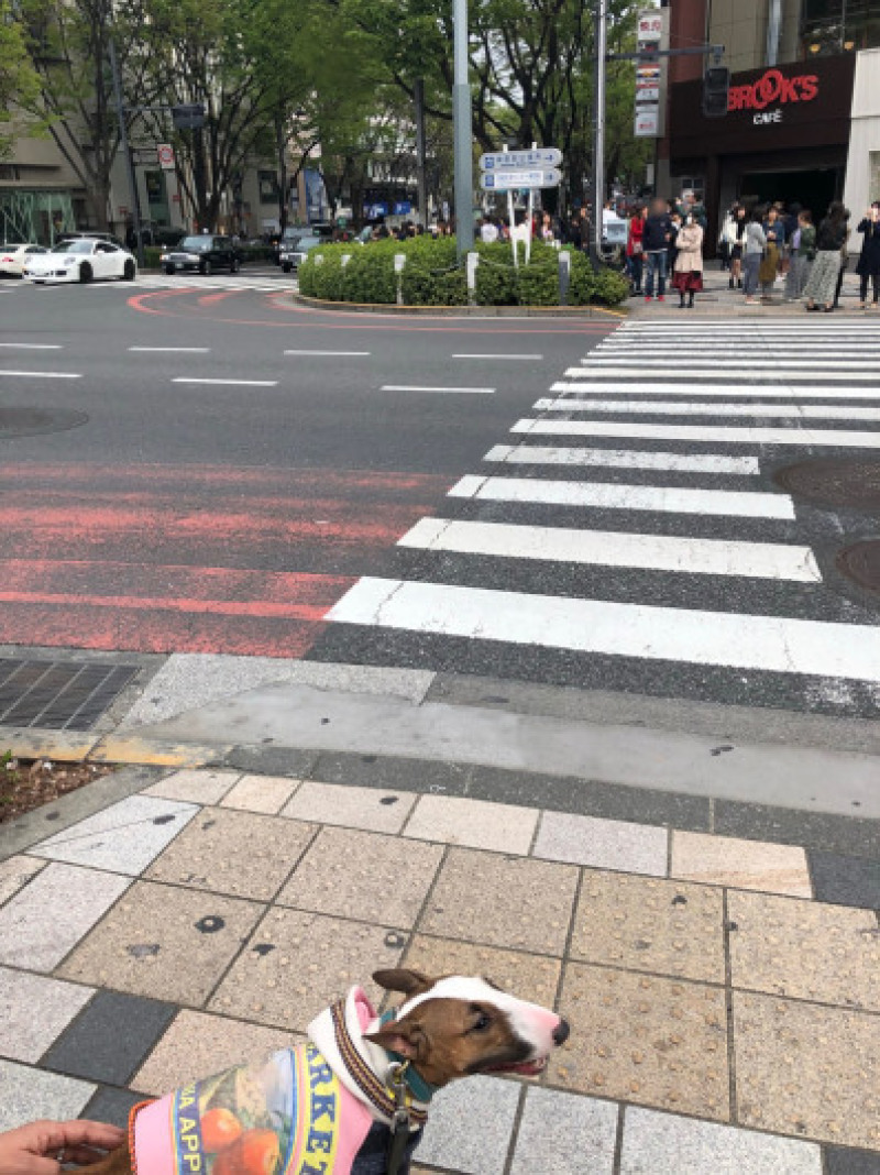 渋谷、原宿散歩した〜_b0310424_11492737.jpg