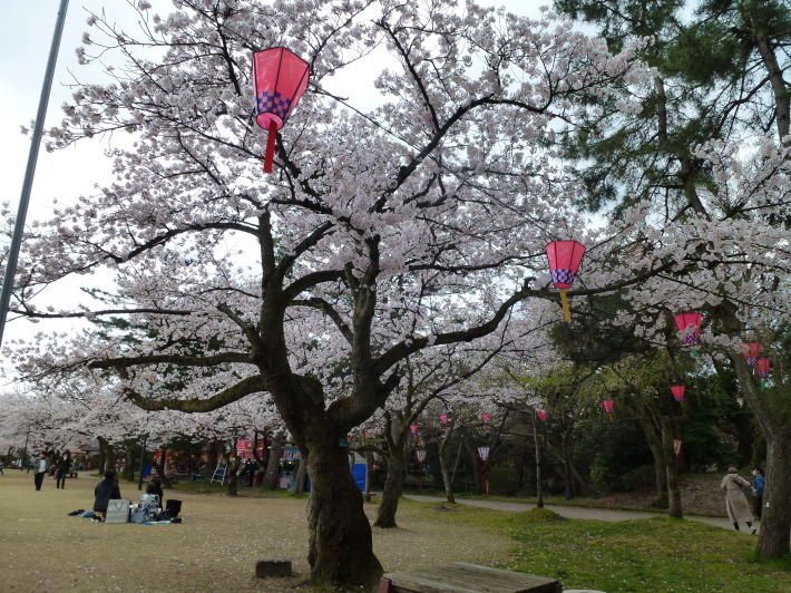 JRで行く北信越桜の6名城めぐり　3日間_d0347025_21394733.jpg