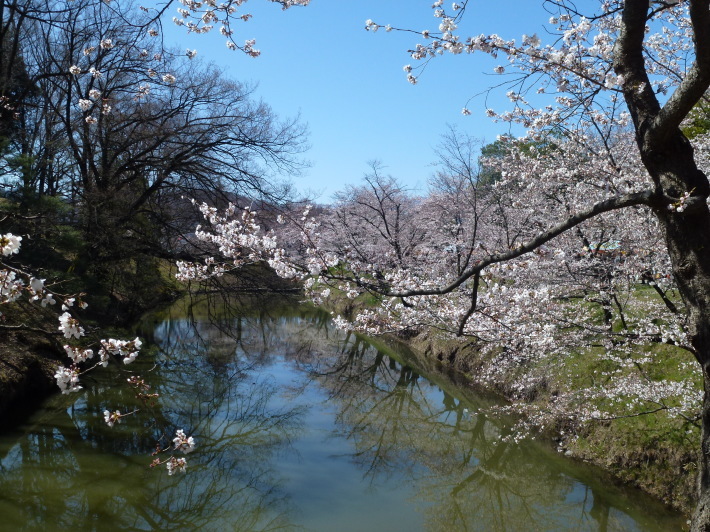 JRで行く北信越桜の6名城めぐり　3日間_d0347025_22133487.jpg