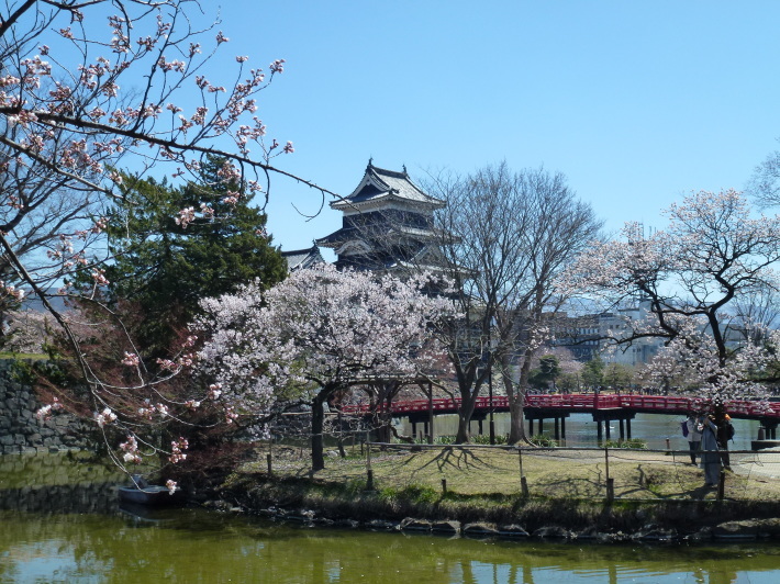 JRで行く北信越桜の6名城めぐり　3日間_d0347025_22252970.jpg